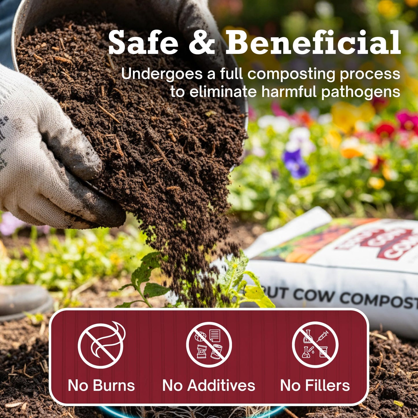 Brut Cow Compost – Nutrient-Rich Composted Cow Manure Organic Soil Amendment – 100% Pure Compost, Additive-Free Fertilizer for Vegetable Gardens, Flowers, Lawns & Indoor Plants – 10 Quart