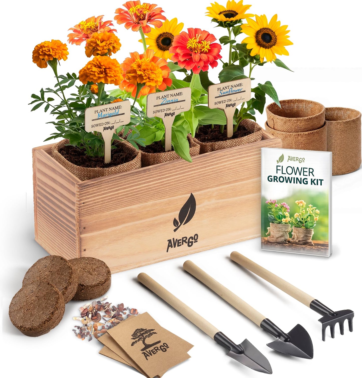 AVERGO Sunflower, Marigold & Zinnia Flower Seeds Growing Kit | Complete Indoor & Outdoor Kit with Seeds for Planting, Planters, Soil, Tools, Instructions