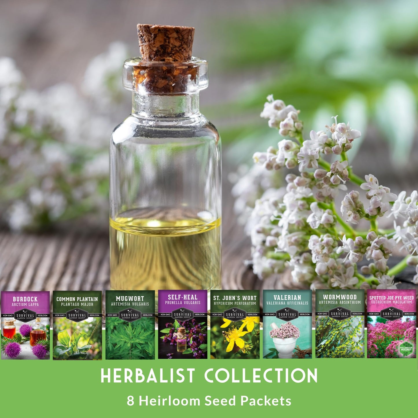 Advanced Medicinal Herb Seeds Collection - Variety Pack for Planting with Plantain, Joe-Pye Weed, St John’s Wort, Valerian, Mugwort - Heirloom Apothecary Herbalist Seed Bundle - Survival Garden Seeds