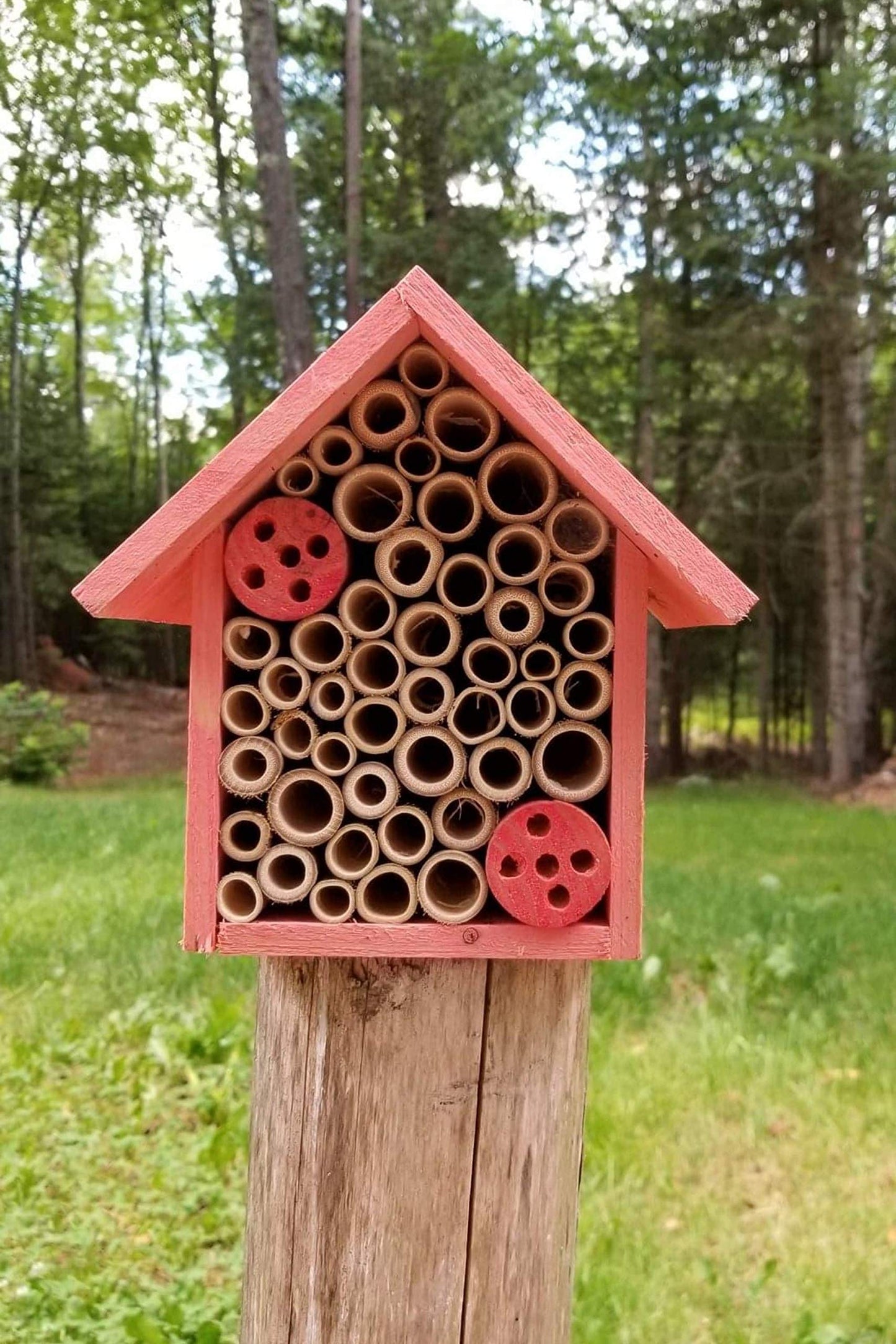 Cestari Mason Bee House Bamboo Tube Solitary Bee Hotel – 75 FSC‑Wood & Bamboo Tubes, 8 × 7.5 × 5 in, Rose Pink