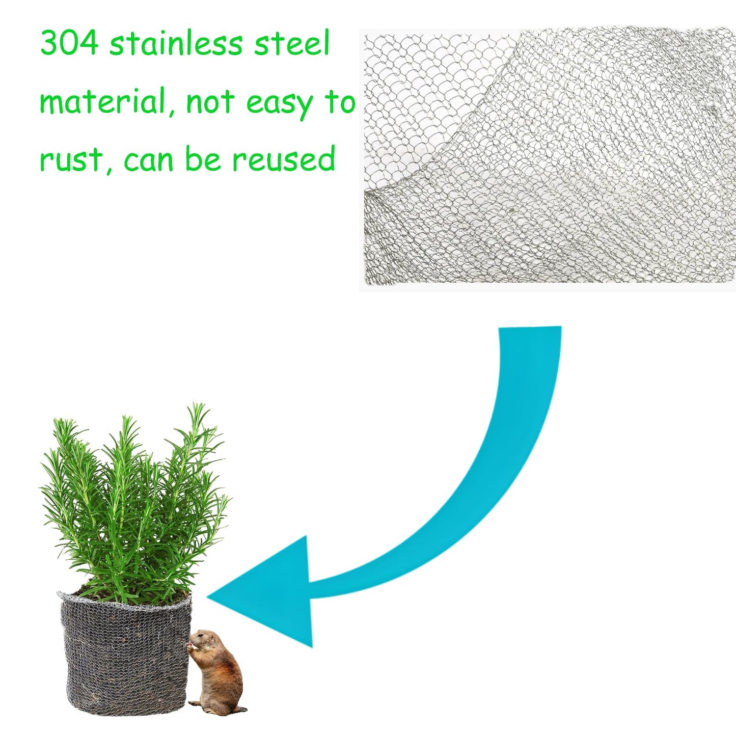 10 Packs Gopher Baskets 5 Gallon Size Stainless Steel Metal mesh to Protect Plant Root from Gophers, Moles and Voles
