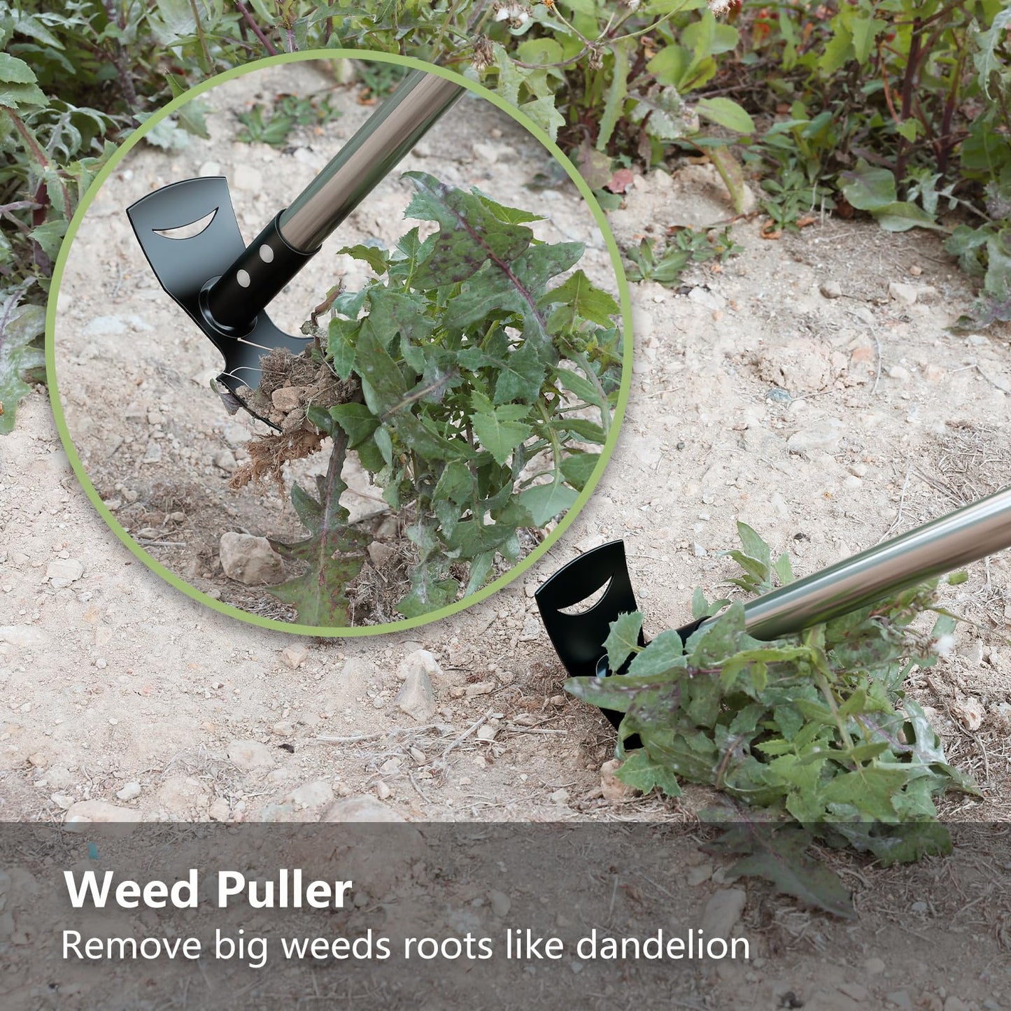 Mitclear Weed Puller Tool with Long Handle(58IN), 2-in-1 Gardening Hand Tools Weeds Remover, Weeder Rake & Garden Hoe Combo, Manual Weeding Puller Tool for Garden Yard Patio Lawn