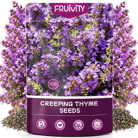 Fruivity 20000+pcs Creeping Thyme Seeds for Planting, Perennial Ground Cover Plants Flowers Seeds Fragrant Herb Seeds for Lawns & Paths Garden