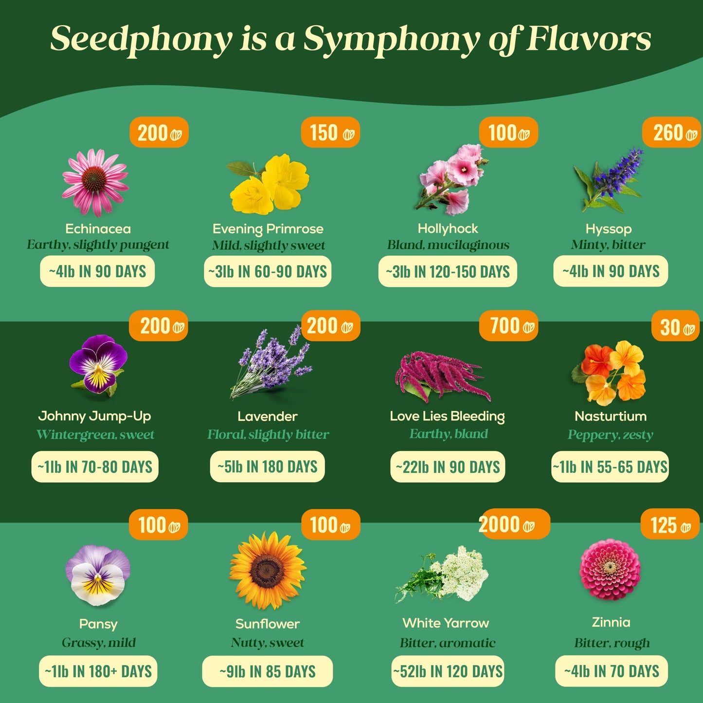 Seedphony 24 Gourmet Culinary Flower Seeds Variety Pack - 7,790+ Non-GMO Heirloom Flower Seeds for Planting Indoor & Outdoor Home Garden - Culinary Flowers Seed Packets for Planting Edible Flowers