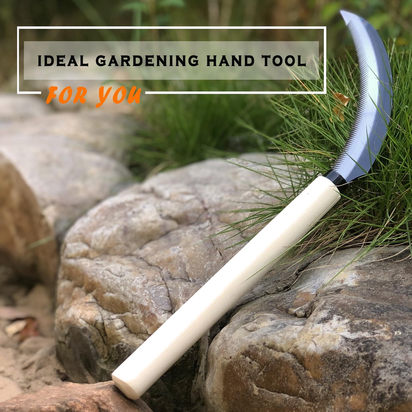 SHANFEEK Grass Sickle with Sawtooth Japanese Weeding Hoe Garden Hand Tool Weeding Tools for Garden High-Strength Steel with Solid Wood Handle (White)