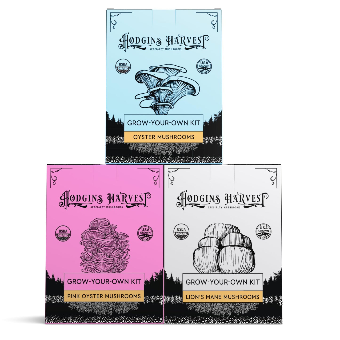 Hodgins Harvest 3 Pack Mushroom Grow Kit | USDA Certified Organic | Grow Your Own Delicious Gourmet Mushrooms at Home