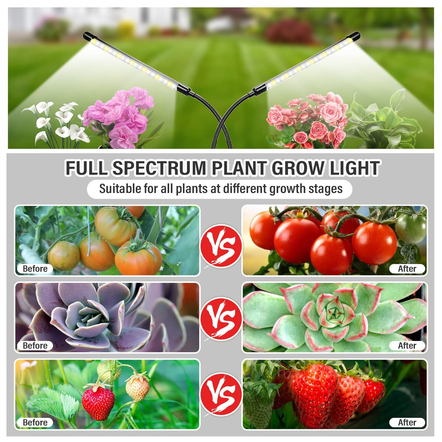 bseah Plant Grow Light for Indoor Plants, Full Spectrum Indoor Grow Light, 10-Level Dimmable and Auto ON & Off Timer (2 Head 2 Pack)