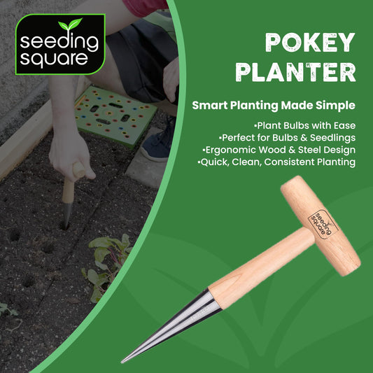 Seeding Square Pokey Planter Stainless Steel & Wooden Handle Garden Tool for Planting Garlic, Onions, Tulips, Daffodils, Lilies, & Transplanting Seedlings