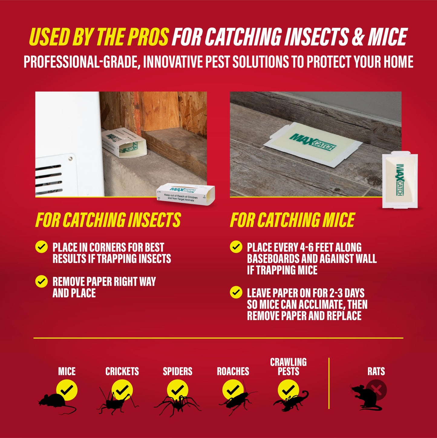 Catchmaster Max-Catch Mouse & Insect Glue Trap 72pk, Mouse Traps Indoor for Home, Sticky Pest Control Adhesive Tray for Catching Bugs, Bulk Classic Glue Boards