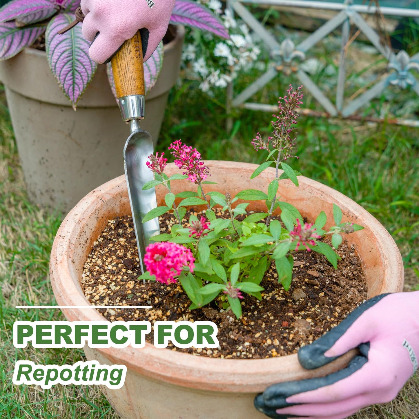Haliaeetus Seeding Widger, Stainless Steel Garden Planting Trowel for Repotting, Long and Narrow Widger for Weeding from Tight Areas, Hand Transplanter with Wood Handle for Planting, Weeding, Digging