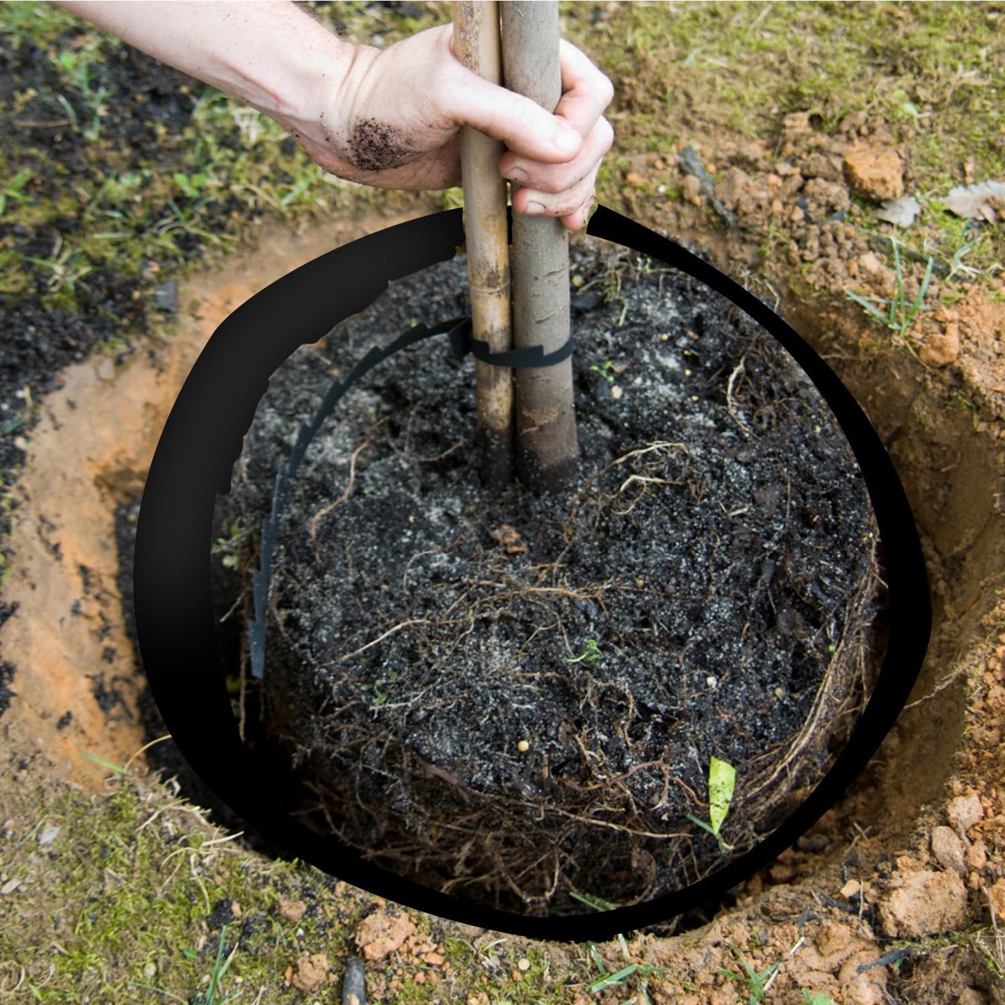 100ft x 30in x 80milTree Root Barrier Bamboo Barrier Rhizome Control Barrier for Landscaping and Protection Roads