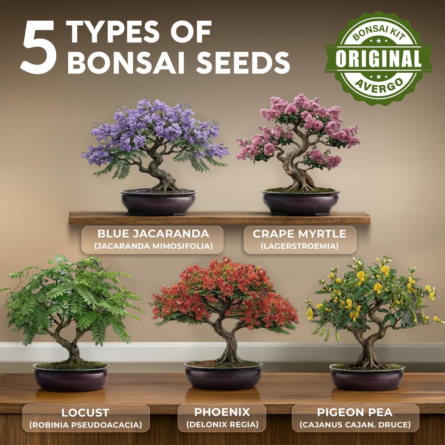 Bonsai Tree Kit for Beginners – 5X Unique Japanese Bonzai Trees | Complete Indoor Bonsai Starter Kit for Growing Bonsai Plants with Tools & Planters – DIY Gardening Gifts for Women & Men