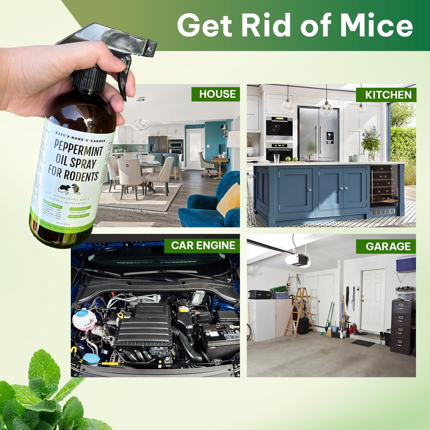 Kate Naturals Peppermint Oil Spray for Rodents, Squirrels, Mouse, Bat, Rat, Car Engines, Mice (16oz, Non-Toxic Rodent Repellent, Pet Safe)