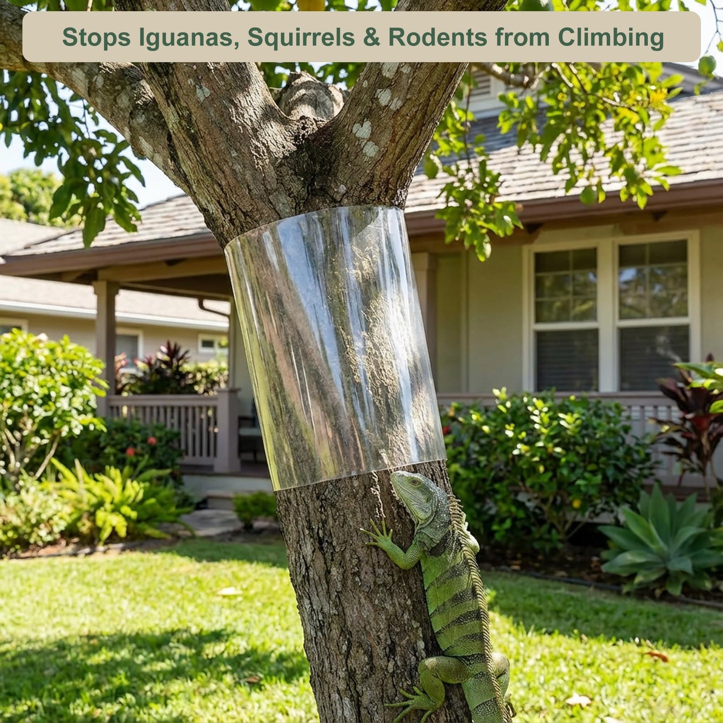 Bltopabb 48" L X 16" W Thickened PVC Transparent Tree Guard for Iguana Prevention, Easy Install Reusable Wrap with Strong Adhesive, Stops Cats from Climbing Trees