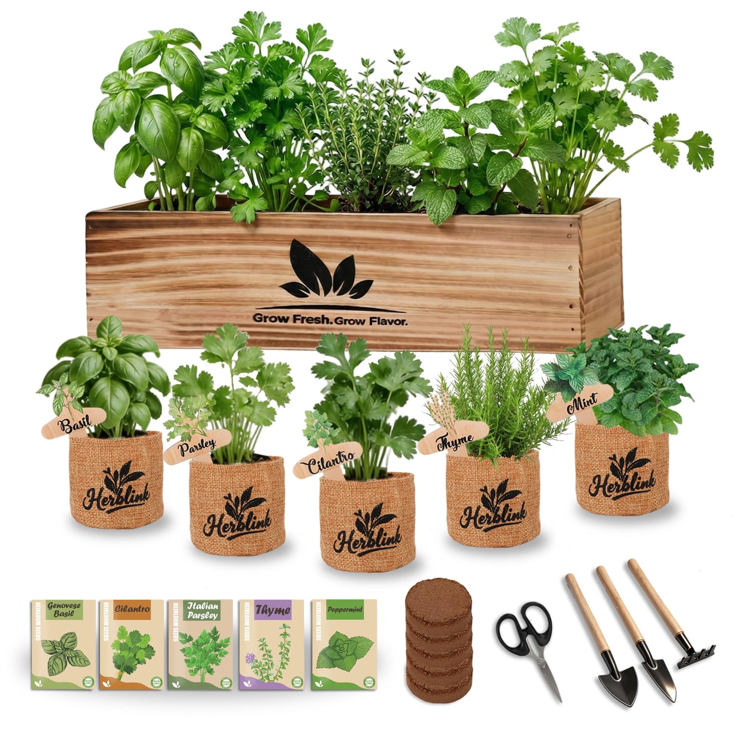 Herblink Indoor Herb Garden Starter Kit, 5 Herb Garden Planter Indoor Kit with Wooden Box Including Genovese Basil, Thyme, Parsley, Mint, Complete Windowsill Growing Gifts Set, Gifts for Mom, Women