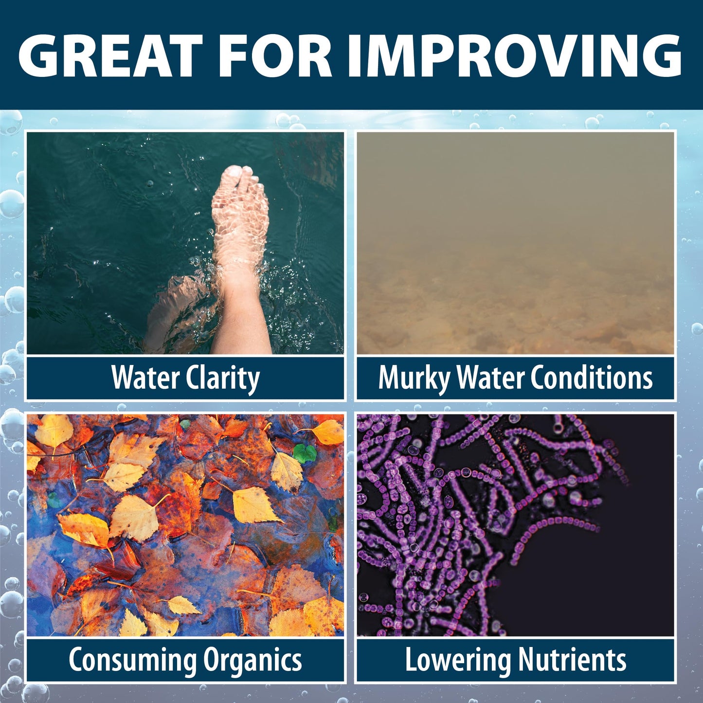 Airmax PondClear Liquid Bacteria for Lakes, Ponds & Water Garden Treatments, Natural Bio Clarifier & Cleaner for Crystal Clear Water, Remove Nutrients & Noxious Odor, Fish, Pet & Plant Safe, 1 Gallon