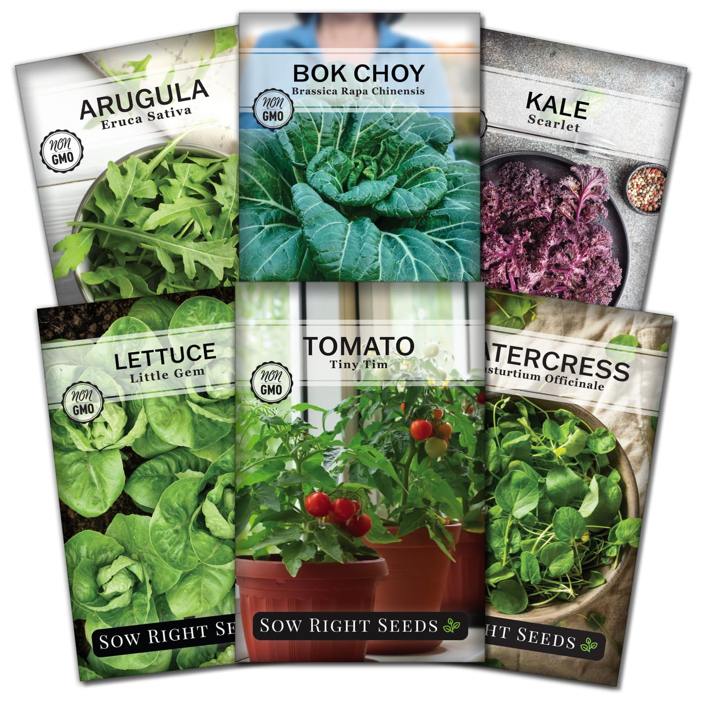 Sow Right Seeds - Hydroponic Vegetable Seeds for Planting - Lettuce, Kale, Arugula, Pak Choi, Watercress & Cherry Tomato Seeds for Planting and Growing Hydroponics - Perfect for Indoor Growing System