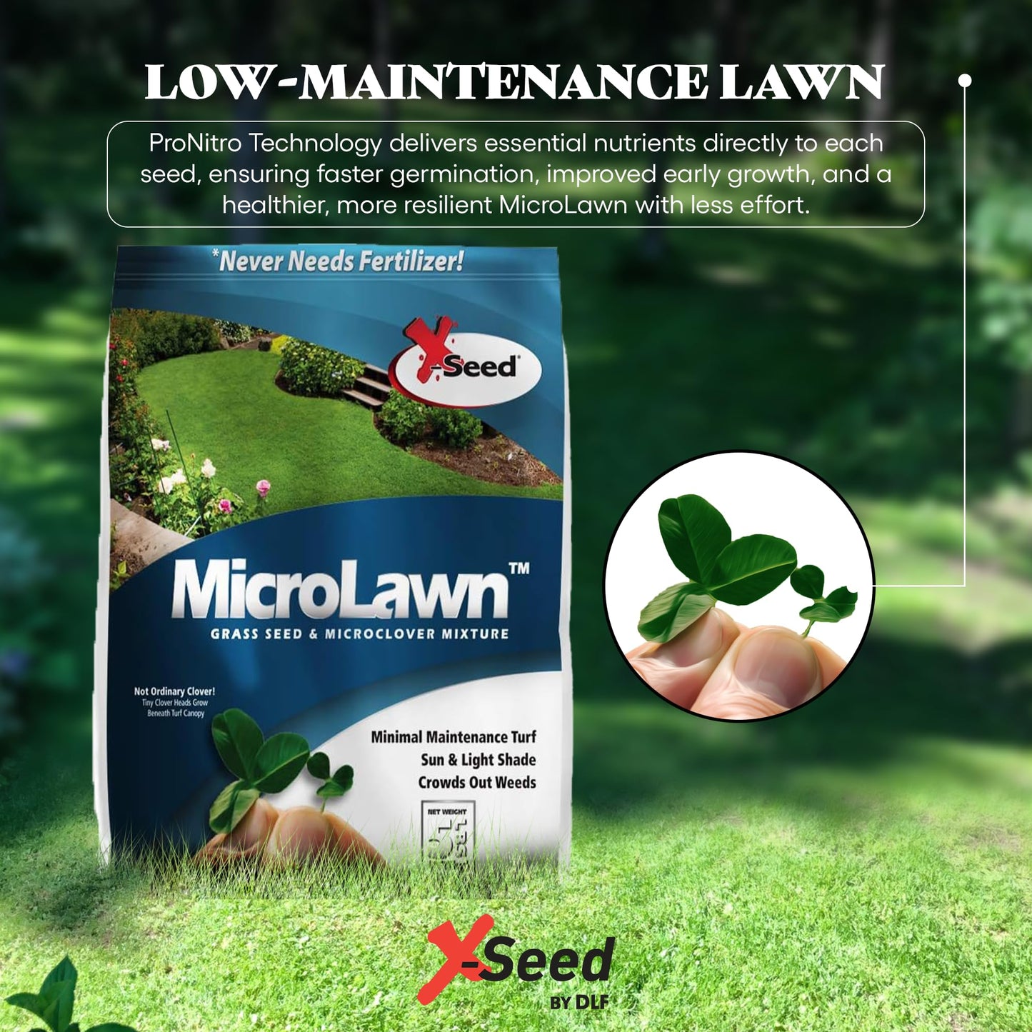 X-Seed Microlawn Grass Seed & Microclover Mix – Dense Self Feeding Lawn, Sun & Shade, Crowds Out Weeds, High Traffic, Drought-Resistant, 5 lb Bag