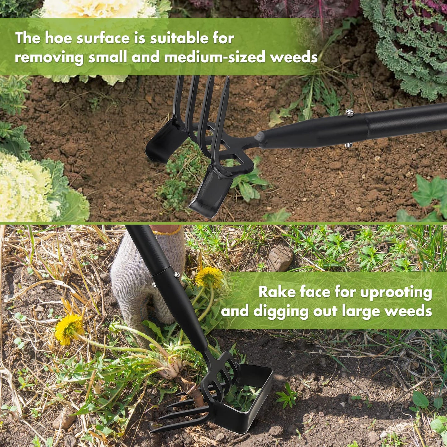 Garden Hoe, 4 Tines Hand Weeding Hoe Garden Tool and Cultivator Long Handle 62", Action Stirrup Scuffle Field Digging Hoe Heavy Duty for Lawn Gardening Weed