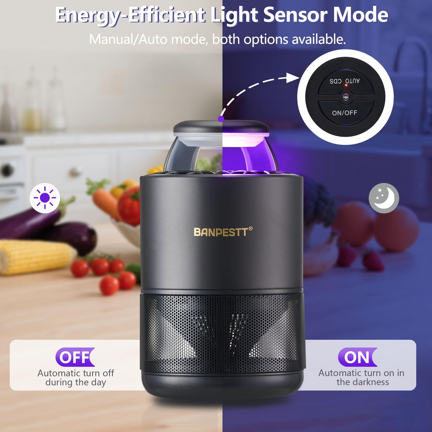 BANPESTT Automatic Insect Trap: Dusk-to-Dawn Sensor & Powerful Suction Quiet, Non-Zapper for Fruit Flies, Gnats, Mosquitoes | Includes 6 Glue Boards & UV Light (Black)