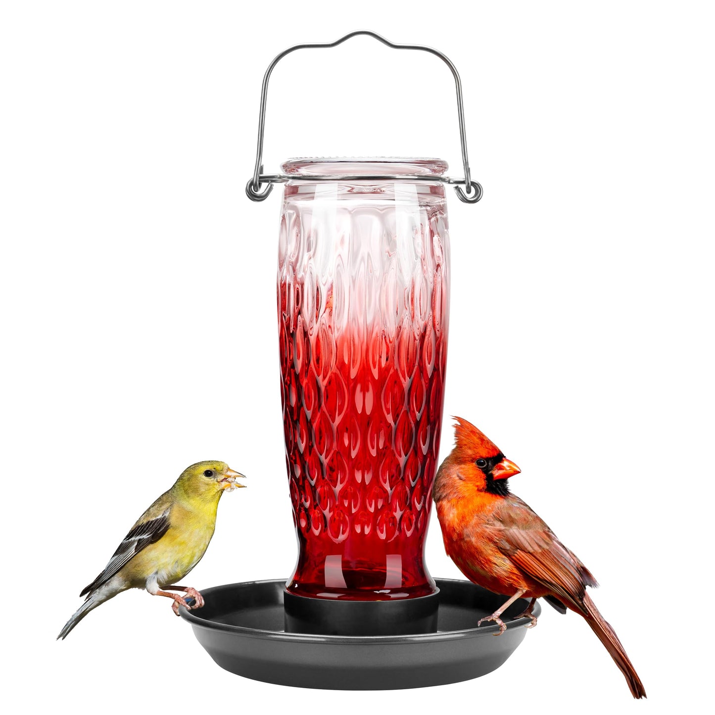 Kingsyard Bird Water Feeder for Outside, 24 Ounce, Glass Bird Water Dispenser with Metal Hanging for Garden Yard Outside Decoration, Red Gradient