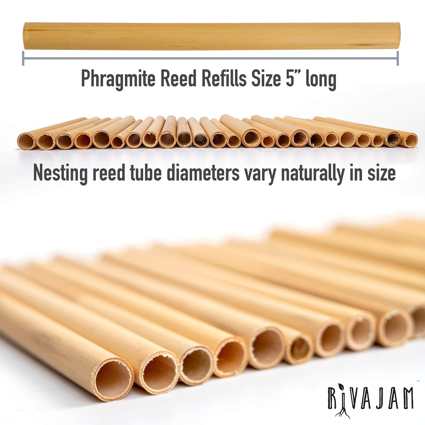 Rivajam Mason Bee House Wax Coated Nesting Bee Box | Refillable Phragmite Reed Mason Bee Tubes Filled Pollinator House | Mason Bee Houses for the Garden