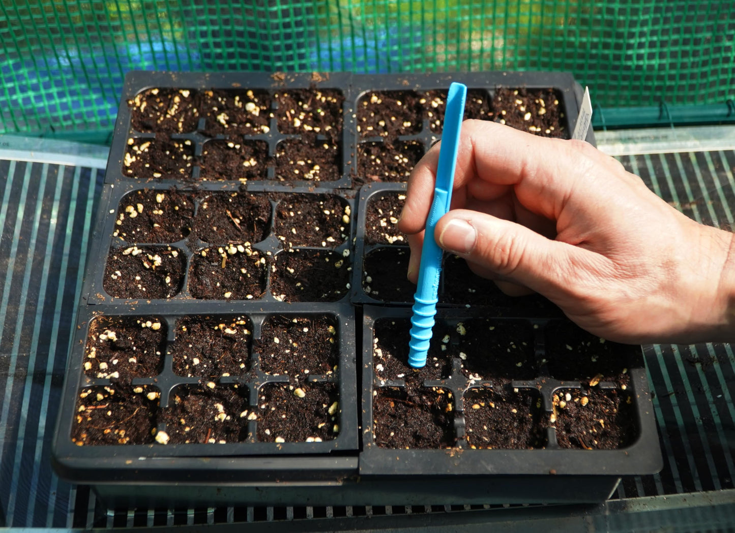 Spoken Garden Little Dibby Seed Sowing Tool – Precision Garden Dibber Planter & Seedling Transplanter with 1/8”–1½” Depth Markings – Made Exclusively in the USA (Blue)