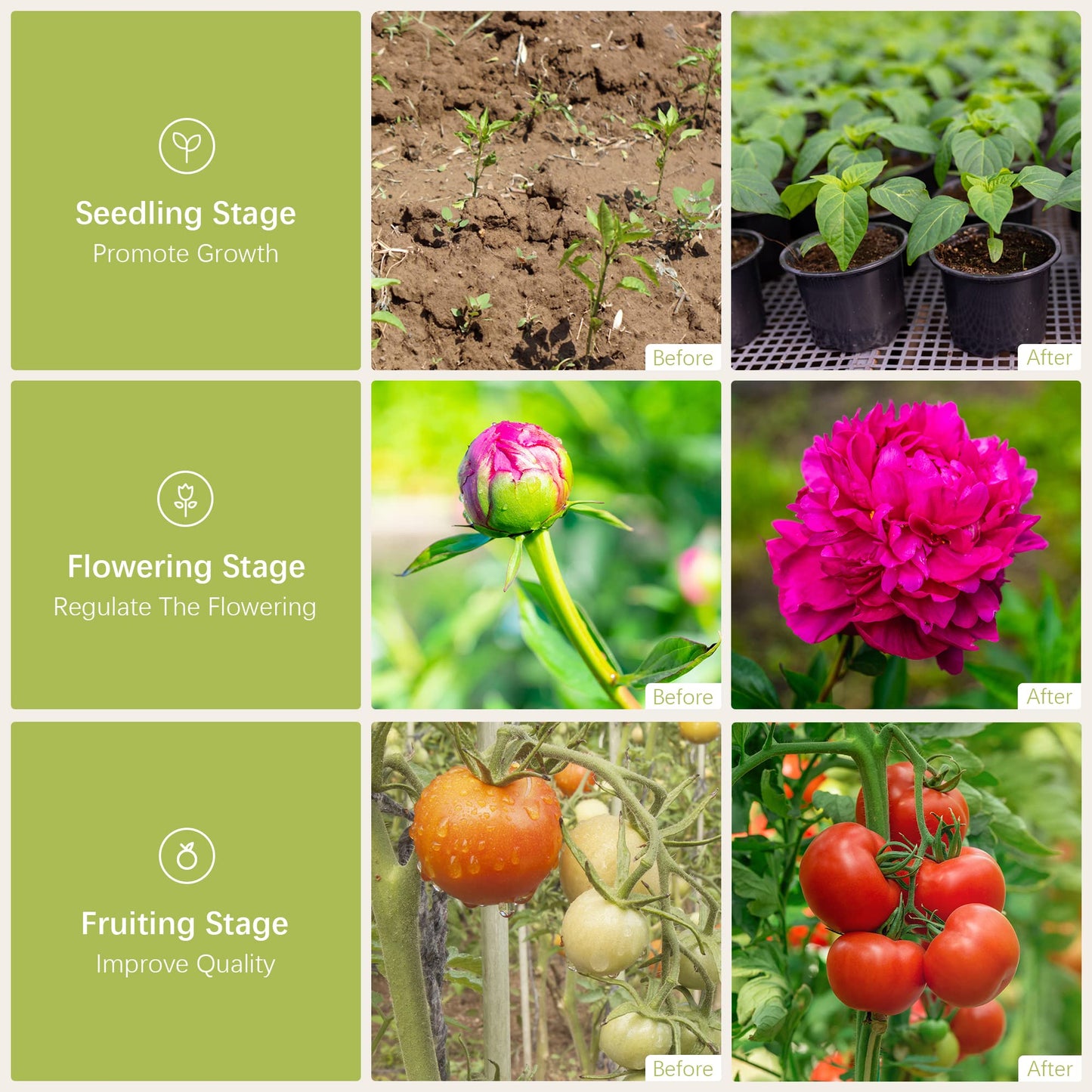 Danshinro Outdoor LED Grow Light, Waterproof String Plant Growing Light, 21 FT Full Spectrum Growth Light, Suitable for Garden, Farm, Flower, Seedling Greenhouse Grow Light (6 Light)