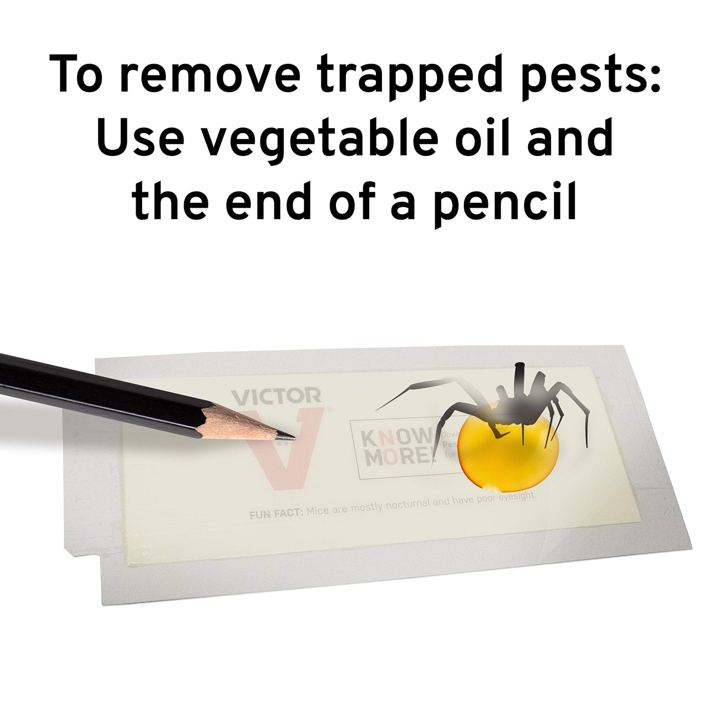 Victor M309 Professional Glue Boards for Insect and Rodent monitoring - 72 Glue Boards