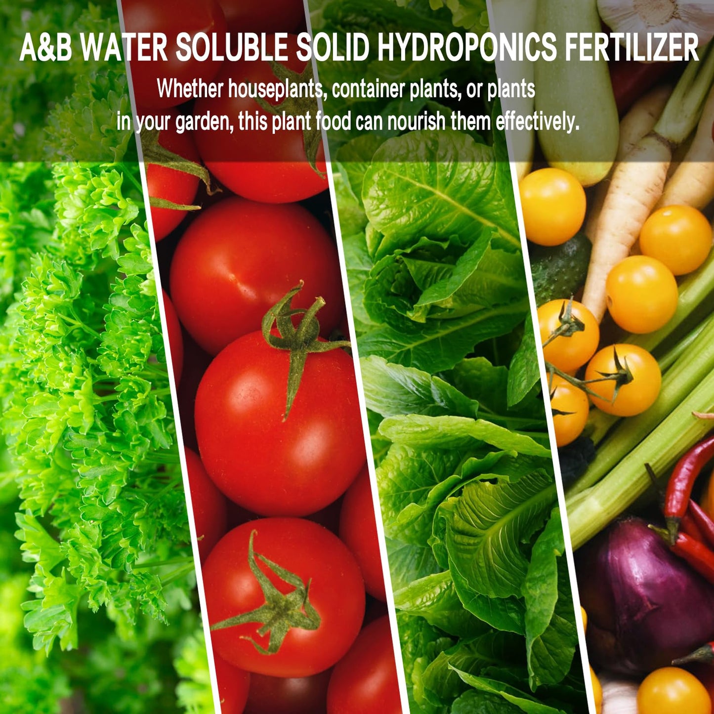 Hydroponic Nutrients, 800ML Hydroponic Plant Nutrients A and B, Universal A&B Indoor Plant Nutrients for Lush Growth of Indoor Plants, Vegetables, Fruits and Flowers