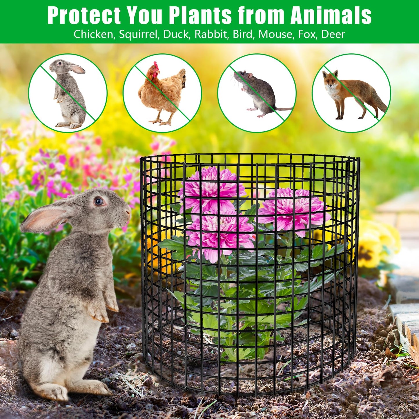 RGJ 5 Pack Plant Protector from Animals, 13x12 inch Wire Plant Cages Mesh Plant Cage Garden Plant Protector, Sturdy Bunny Barricades Chicken Wire Cloche Plant Protectors for Keeping Bunny Animals Out