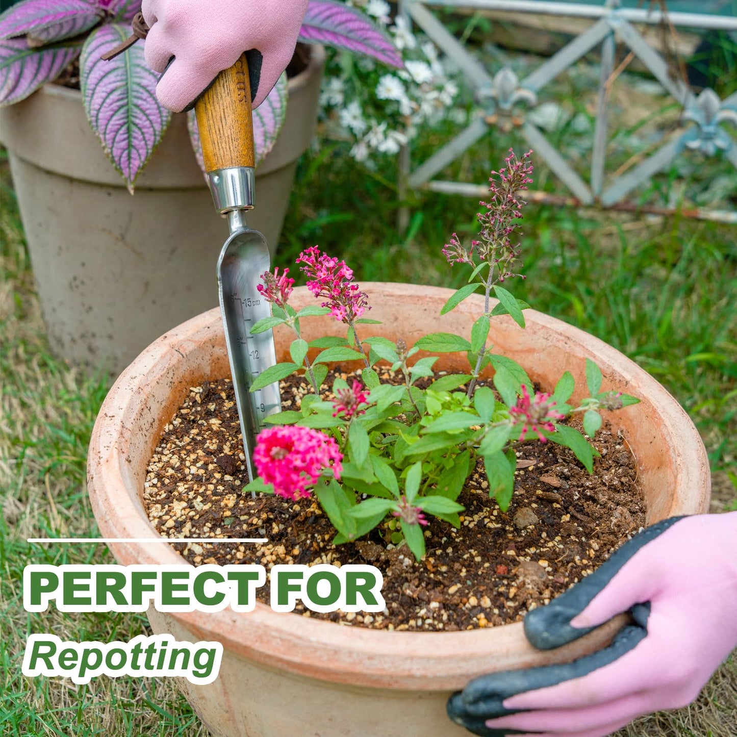 Haliaeetus Seeding Widger with 6'' Scale, Stainless Steel Planting Trowel for Repotting, Long and Narrow Widger for Weeding from Tight Areas, Hand Transplanter with Wood Handle for Planting, Digging