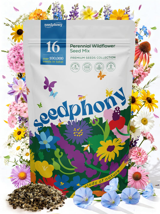 Seedphony 16 Perennial Wildflower Mix 4 oz - 100,000 Non-GMO Heirloom Wildflower Seeds for Planting Garden, Wild Flowers in Waterproof Seed Packet, Floral Seeds for Planting Indoor & Outdoor Gardening