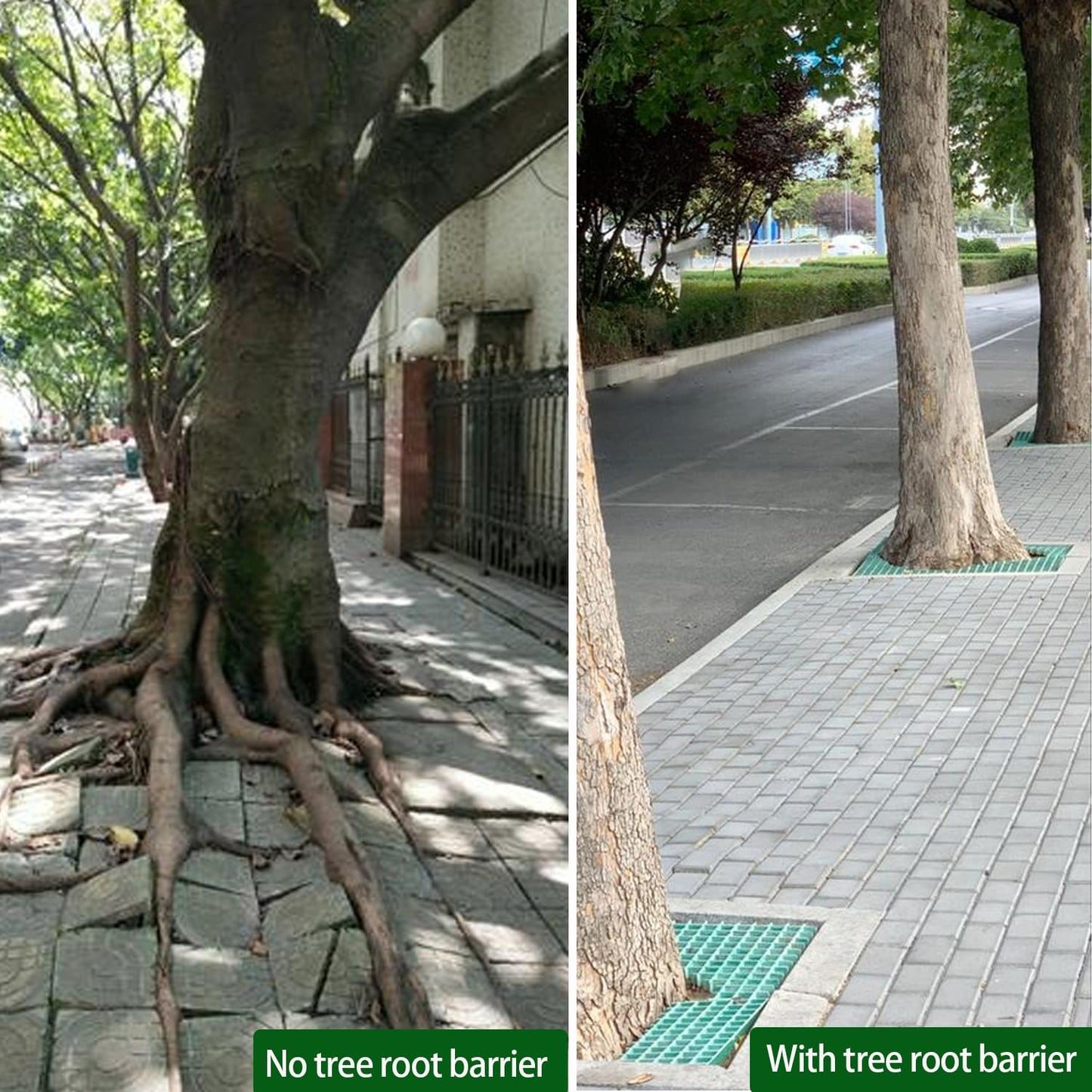 100ft x 30in x 80milTree Root Barrier Bamboo Barrier Rhizome Control Barrier for Landscaping and Protection Roads
