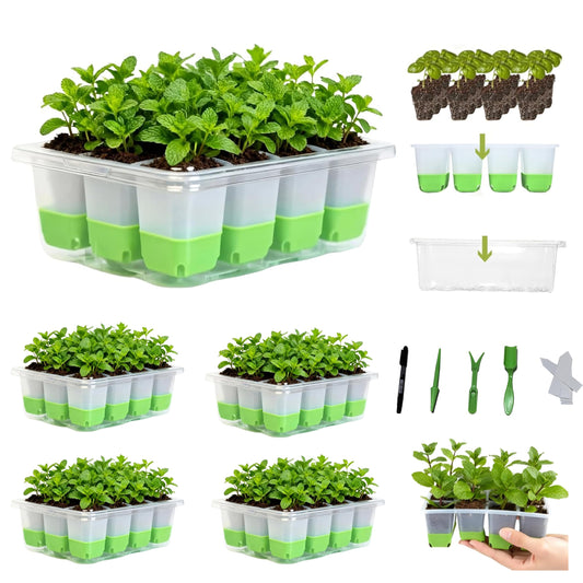 5-Pack Reusable Silicone Seed Starter Kit,Reusable 60Cell Seed Starter Trays with Easy Push-Out Design,Foldable Design for Easy Transplanting,Indoor Gardening Supplies for Vegetables, Flowers & Herbs