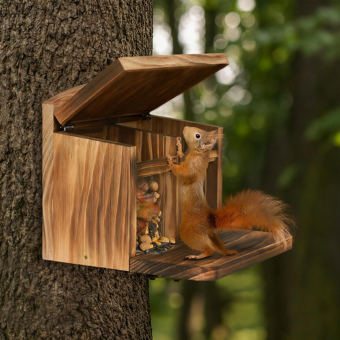 MIXXIDEA Large Squirrel Feeder House, Wooden Squirrel Feeders for Outside, Chipmunk Feeder Made of Thick Wood, No Assembly Required (Brown)