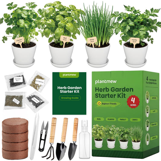 PLANTMEW Indoor Herb Garden Starter Kit - Mothers Day Gifts - 4 Non GMO, Heirloom Culinary Herb Seeds, Unique Gardening Gift for Women, Mom, Her, Birthday, Housewarming, Plant Lovers