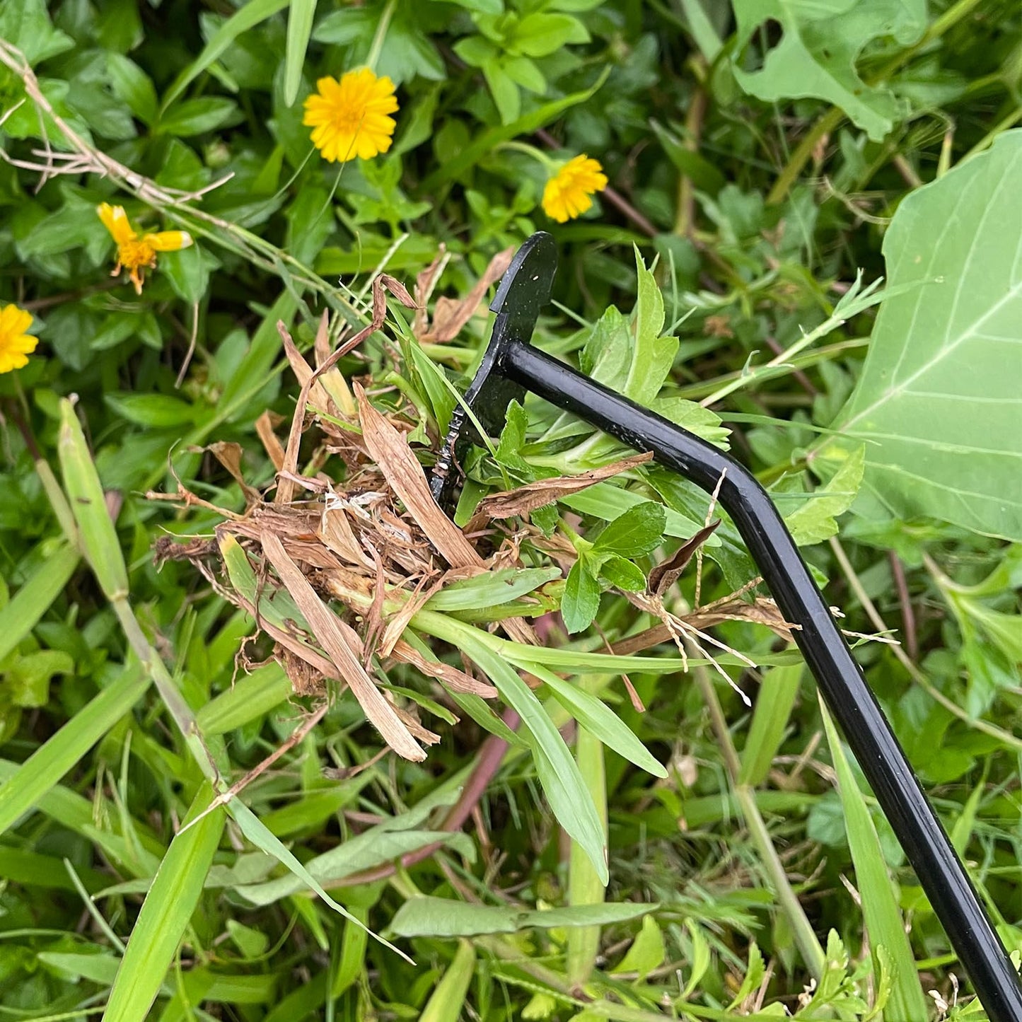 SEREVIGPUL Weed Puller Tool,Portable Garden Hand Tool for Weed Removal,2026 New Garden Weeder Tool Stainless Steel Hand Weeder Tool,Tools for Vegetable Gardening Backyard Farm Planting & Weeding