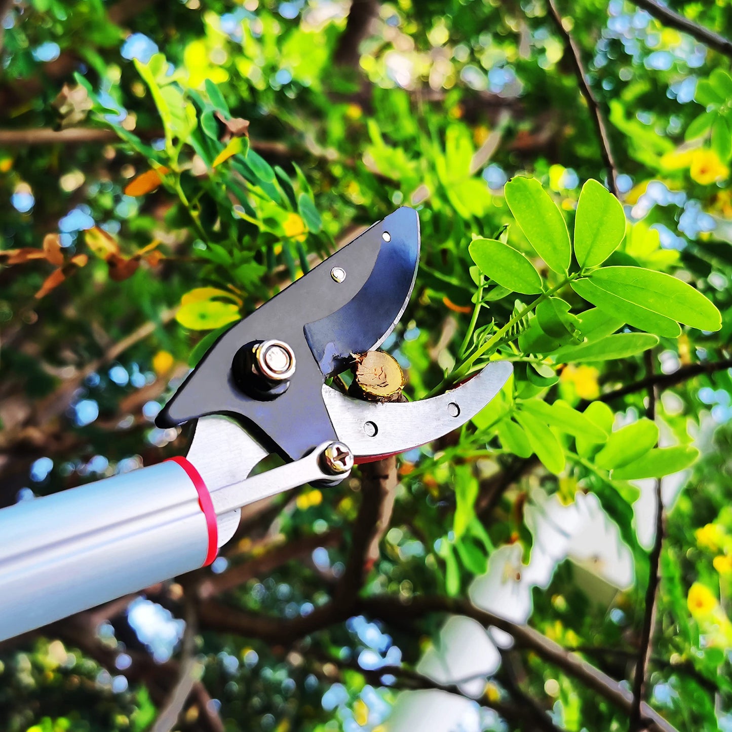 Prunrt 5.4-14.8 FT Tree Pruner Extendable 4 Sections, Telescopic Cut and Hold Trimmers Pole Saws Trimming Long Reach Pruning Shears Branch Cutter Clipper Bypass Lopper Fruit Picker