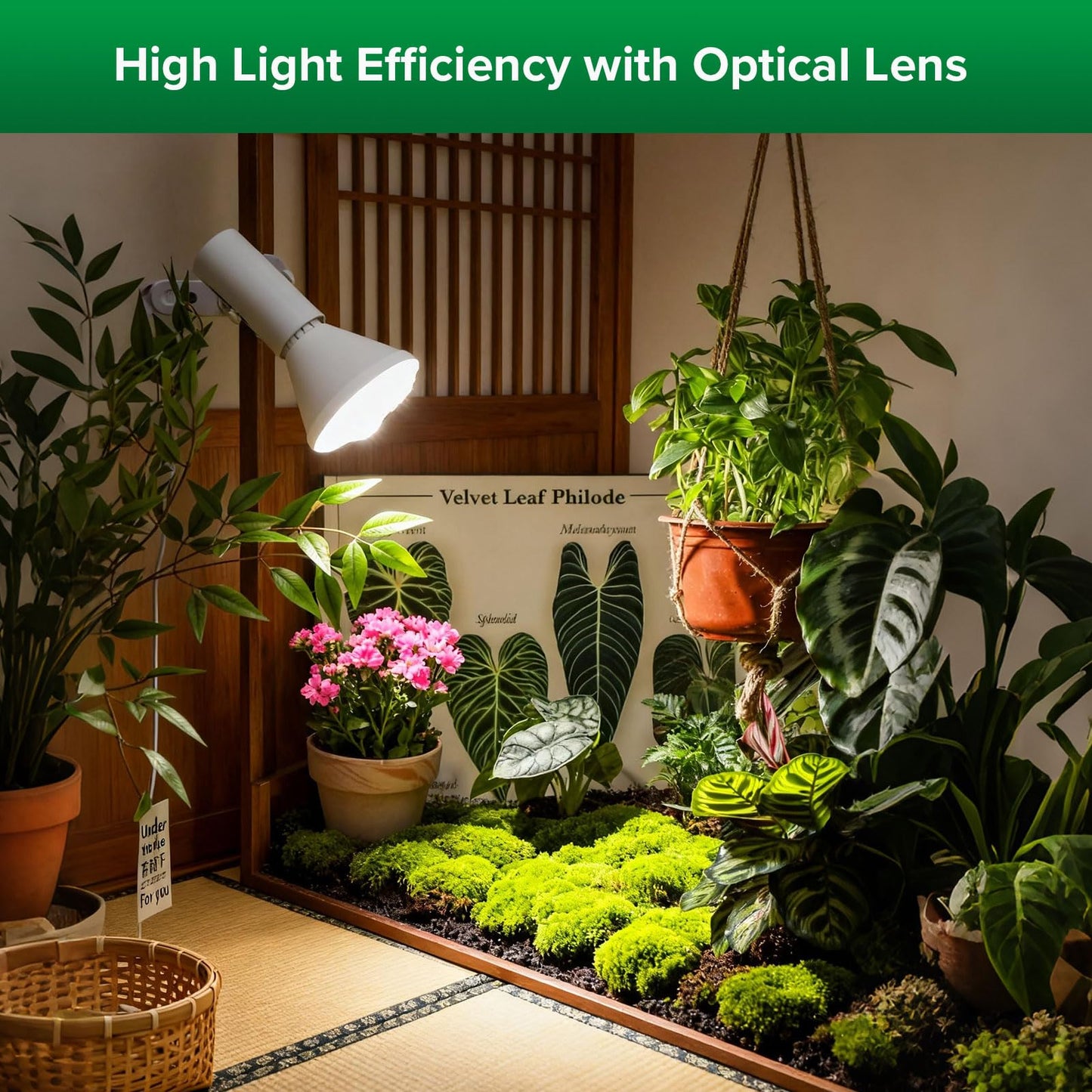 SANSI Grow Light Bulb IP54 Waterproof, 24W BR30 Plant Light Bulb for Indoor Outdoor Plants Full Spectrum(200 Watt Equiv), Energy Saving with Optical Lens for Greenhouse, Garden, E26 Base