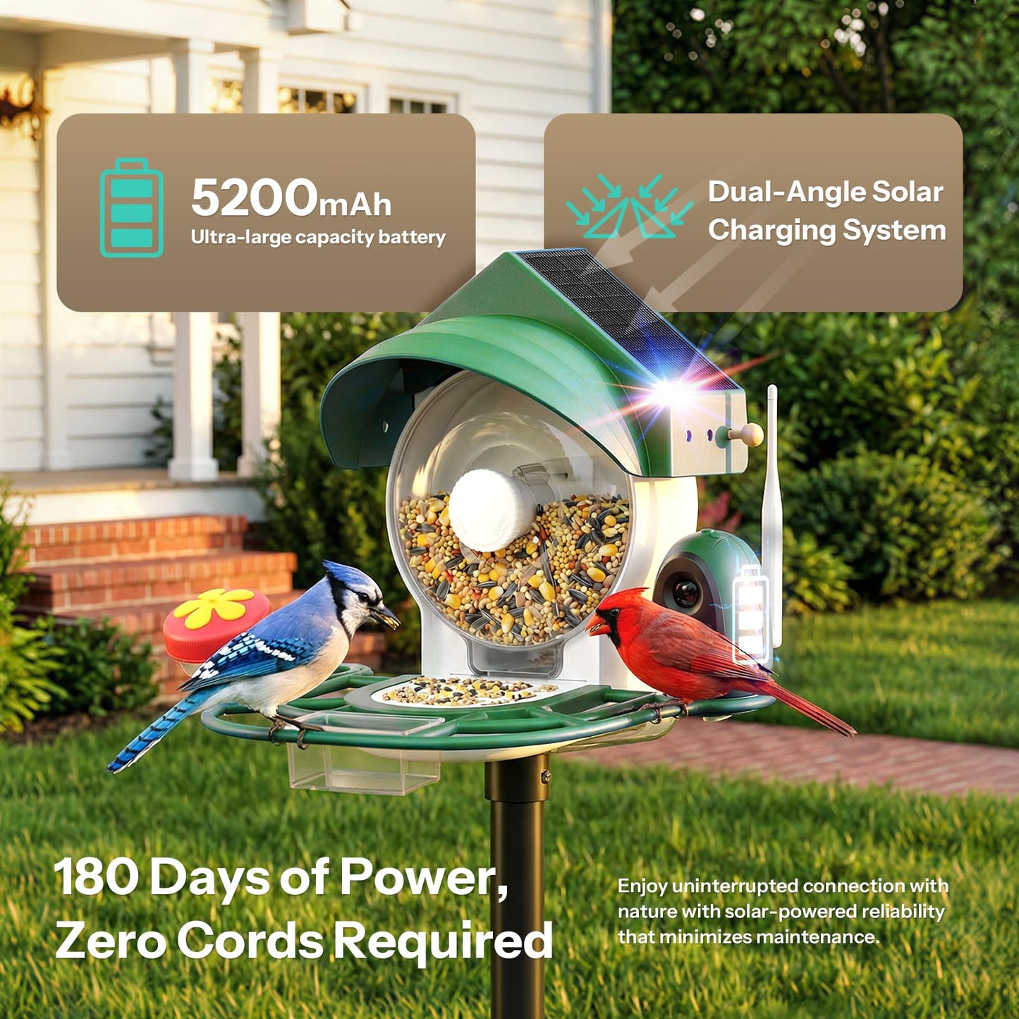 Liscuty Smart Bird Feeder with Camera - 2K HD Smart Bird Feeder, Solar Powered Outdoor Birdhouse with AI Bird Identification for Backyard Birding & Wildlife Bird Watching, Gift for BirdLover (Green)