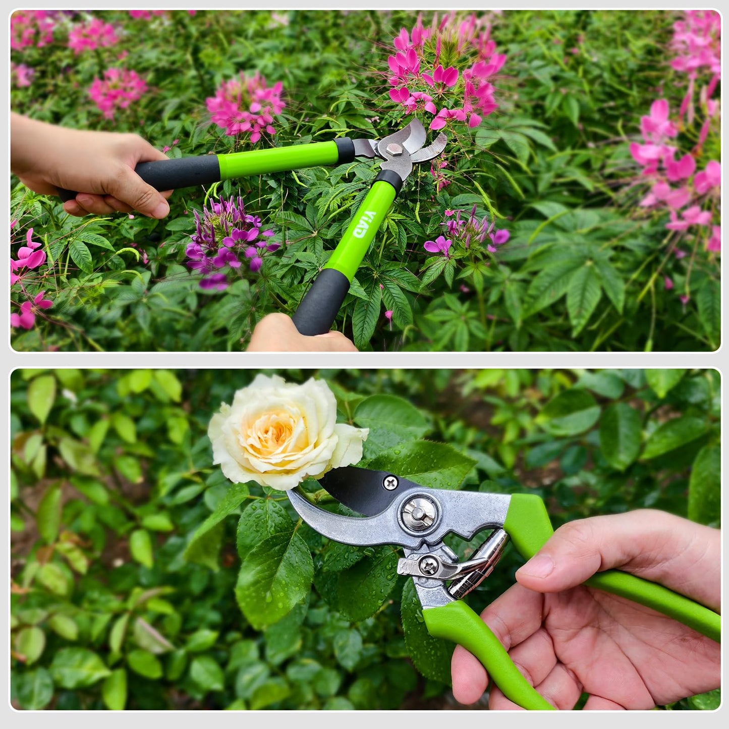 Loppers for Tree Trimmer 15" Branch Cutter and Garden Shears Set Bypass Pruning Shears,Rust-Resistant Clipper,1.5" Diameter Cut Capacity,Shock-Absorbing Handle,Gardening Pruners for Yard,Plant,Hedge