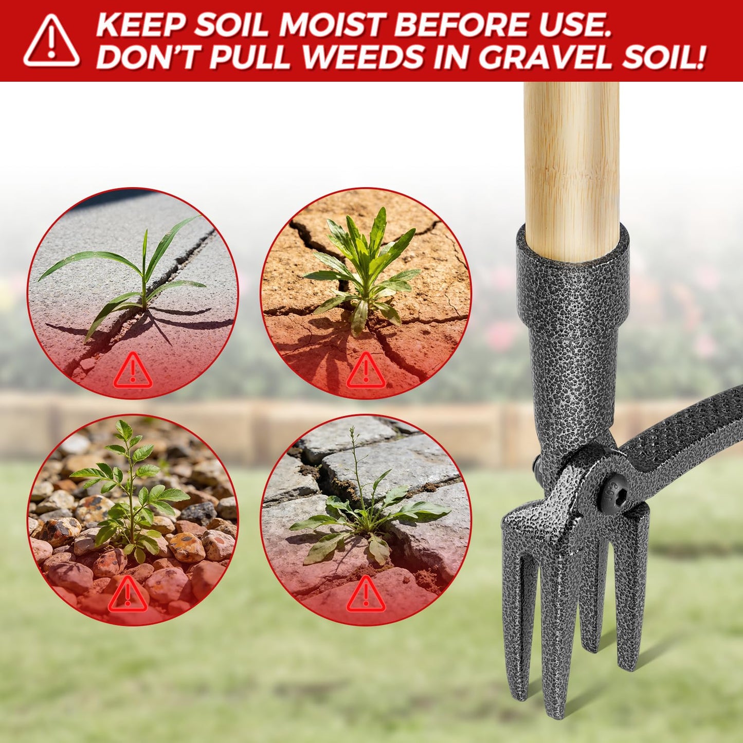 RexWeed Weed Puller Tool, Stand Up Heavy Duty Root Removal Tool with 4-Claw Head & Long Handle, Garden Hand Weeding Tool - Easily Remove Weeds Without Bending, Pulling,or Kneeling