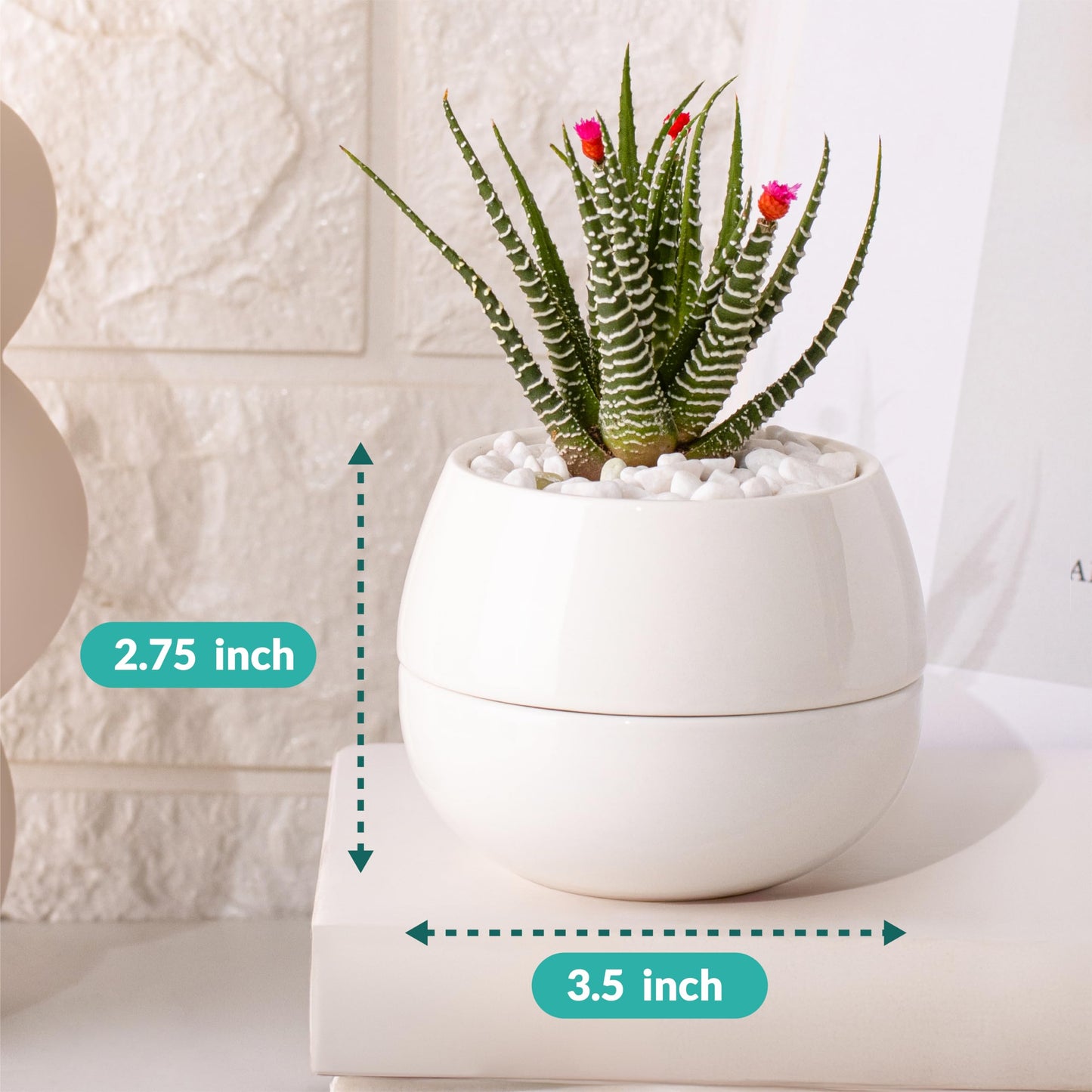 3.5 Inch Cute Porcelain Mini Plant Pots with Drainage Hole and Plug (6pk) - Includes a Bag of Decorative Pebbles, Cleaning Brush, and Tweezers - Cactus Pots, Suculentas Pot - No Plants Included