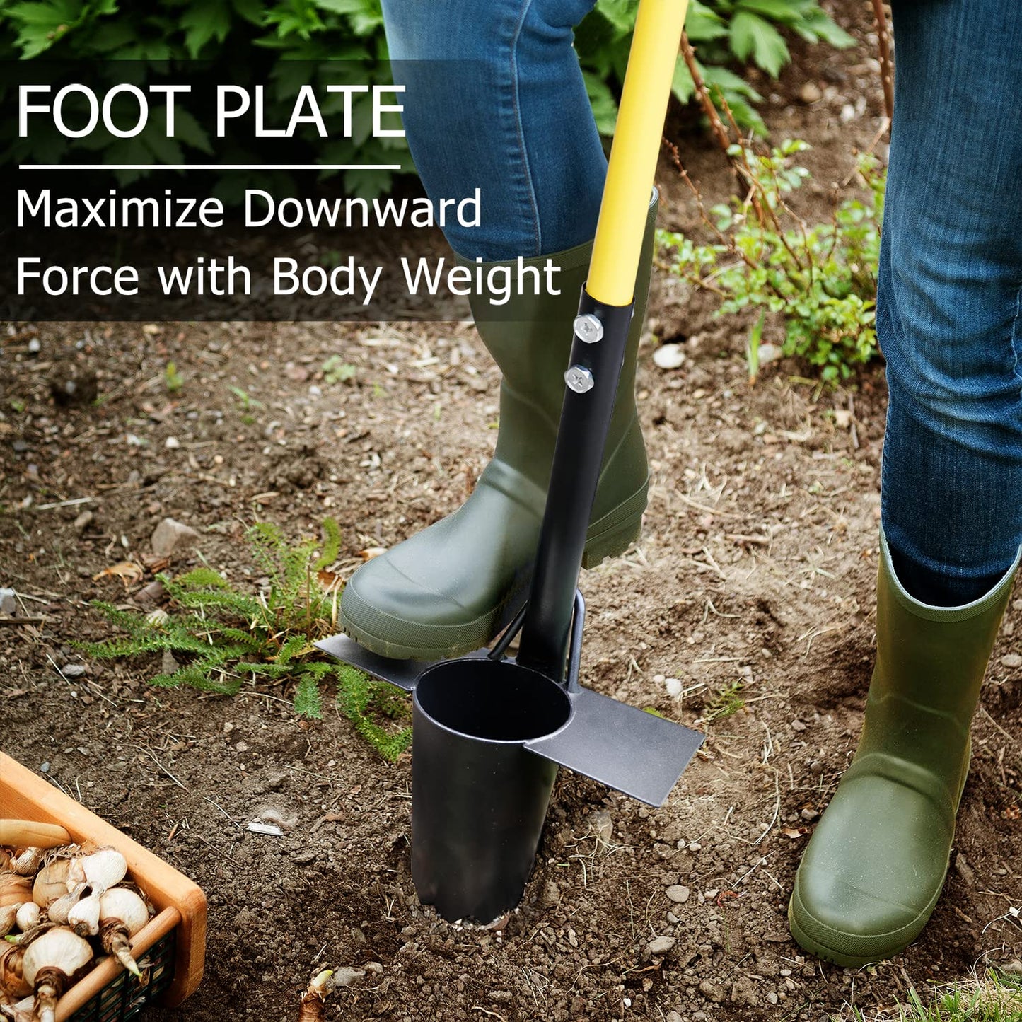 Jardineer Bulb Planter Tool, Long Handle Sod Plugger with Serrated Base, Automatic Soil Releasing Small Bulb Transplanter for Tulips, Daffodils, Lily