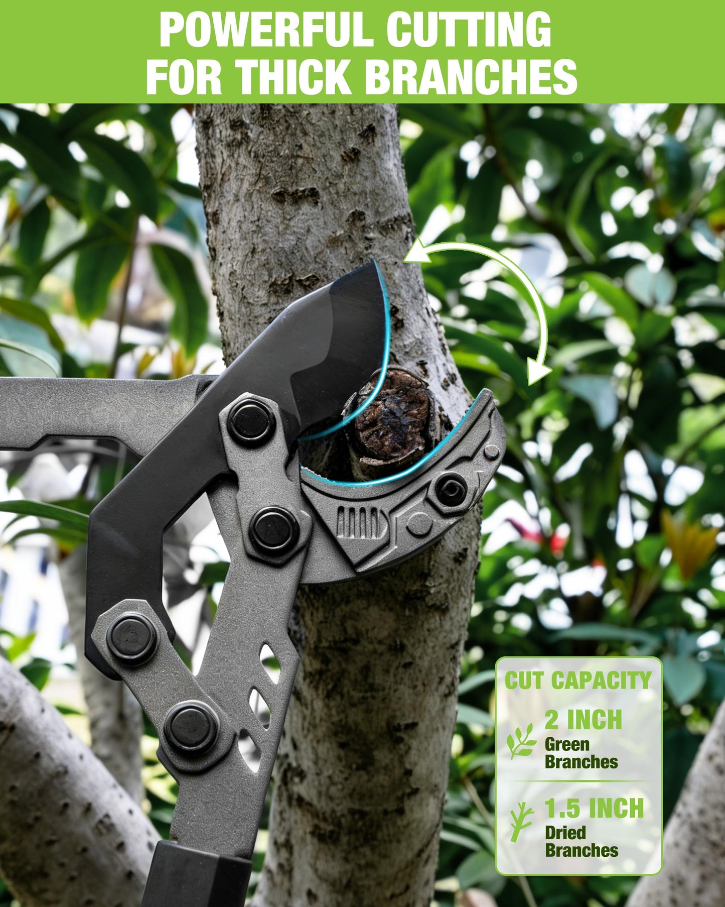 WORKPRO 26"-33" Extendable Anvil Lopper, Heavy Duty Tree Trimmer with 2 Inch Cutting Capacity, Branch Cutter with Compound Action, Garden Lopper with Telescopic Handles for Garden Farm Orchard