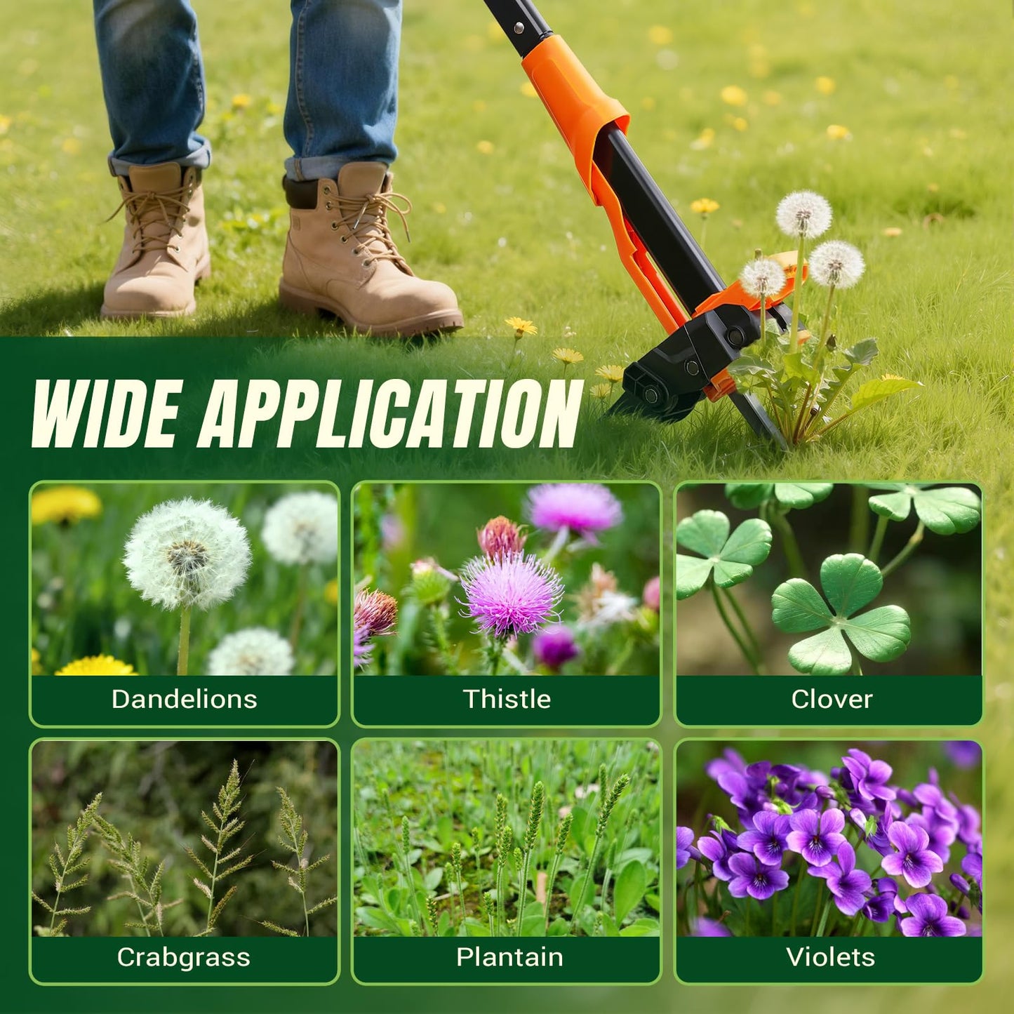 Crywag Weed Puller Tool - Stand Up Weed Puller with 4-Claw Steel Head, 39"-46" Retractable Handle & Easy-Eject Mechanism for Dandelions, Clover & More, No Bending or Kneeling