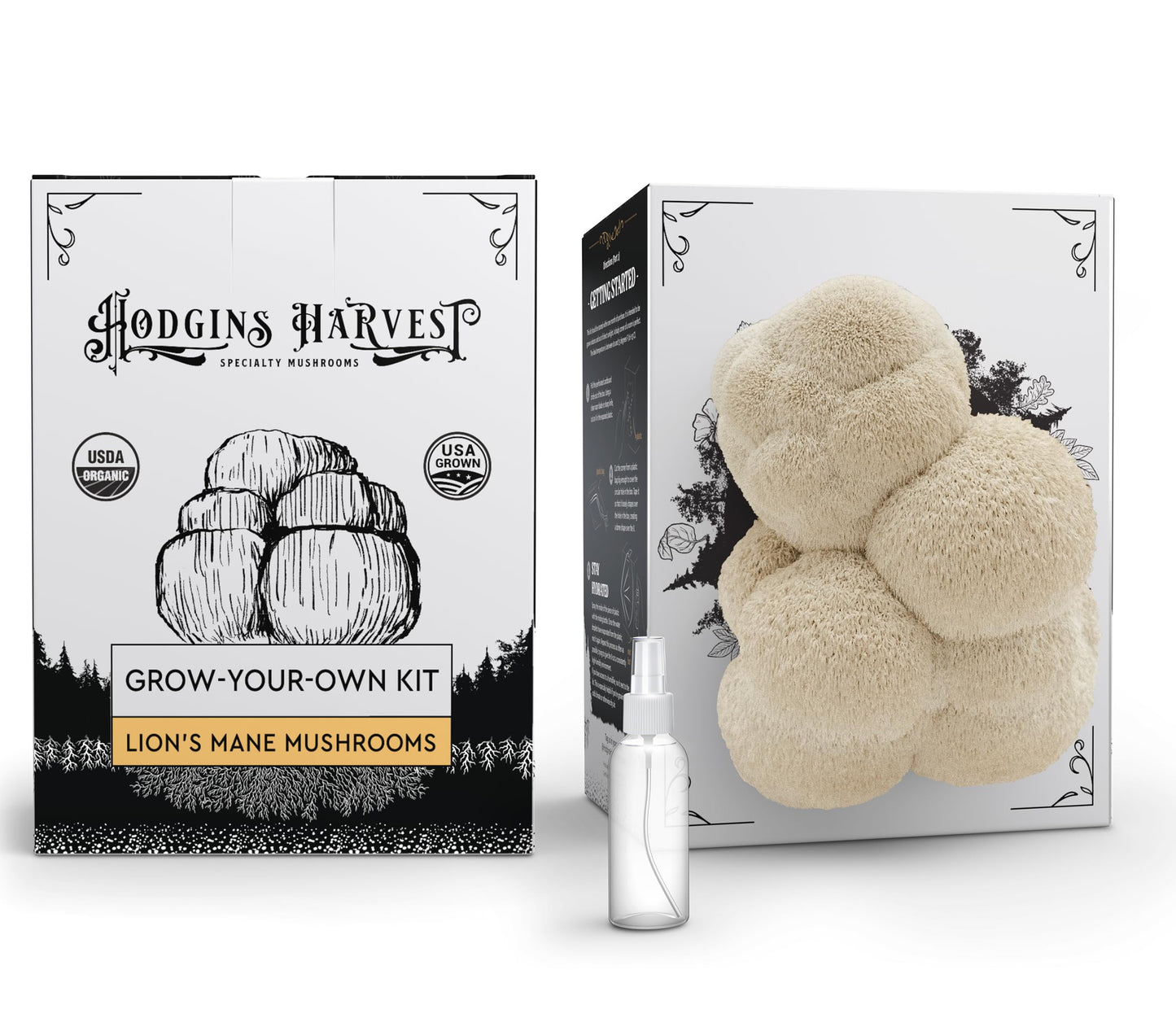Hodgins Harvest Organic Lion's Mane Mushroom Growing Kit - Indoor Gardening Kit for Fresh Gourmet Mushrooms - Easy to Grow at Home - Holiday Gift for Garden Lovers & Foodies - Grown in USA - 3.5 lb