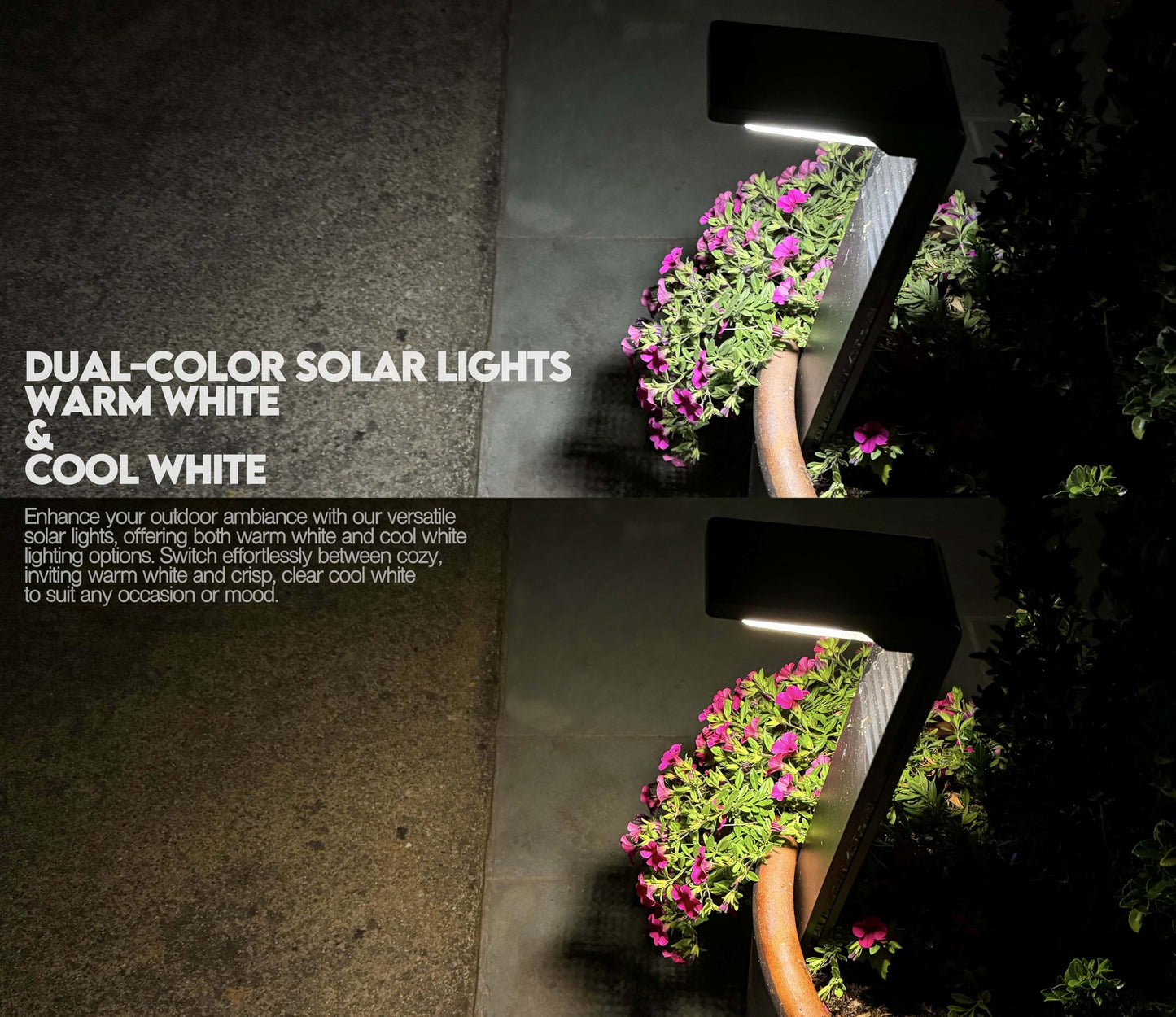 6 Pack Solar Pathway Lights, Dual Warm & Cool White Modes, Waterproof Outdoor Solar Path Lights for Garden, Lawn, Driveway & Walkway – Perfect for Backyard & Landscape Décor