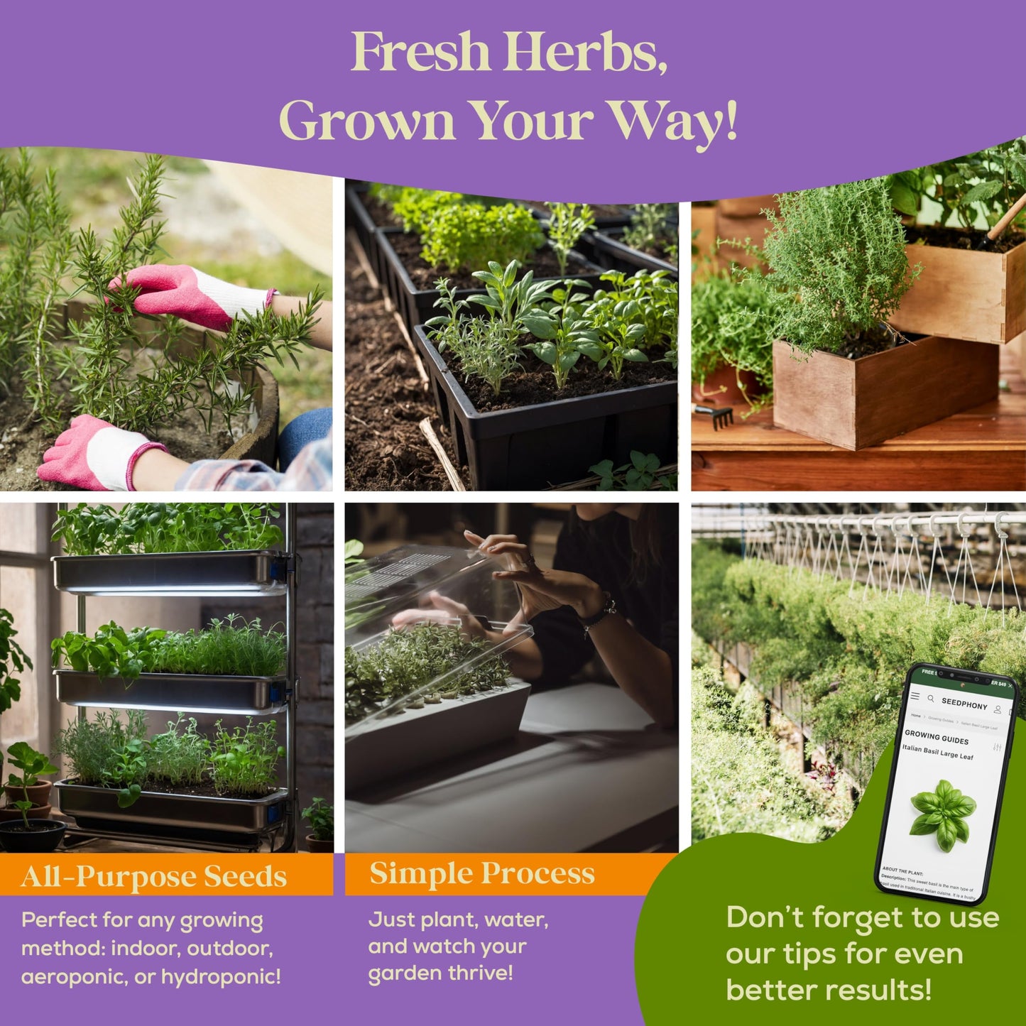 25 Culinary Herb Seeds Variety Pack - 13,055+ Non-GMO Heirloom Herbs Seeds for Planting Indoor & Outdoor: Rosemary, Basil, Catnip, Cilantro, Dill, Parsley, Oregano, Thyme, Mint, Tarragon, Lavender